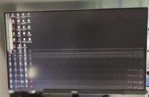 紙枷鎖的幽默懲戒，誰(shuí)家的貓像你一樣